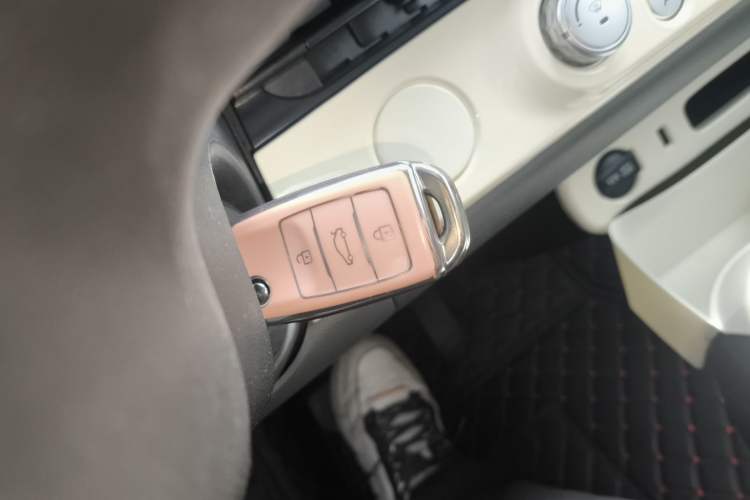 Used Qiyuan Lumin 2023 205km Xiangqin Version