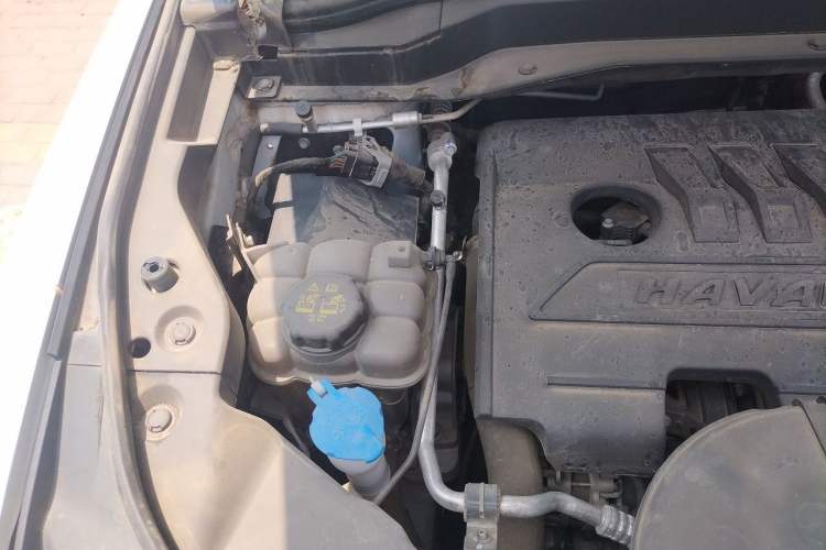 Used Haval H6 2021 National Trend Edition 1.5T Automatic Urban Version

