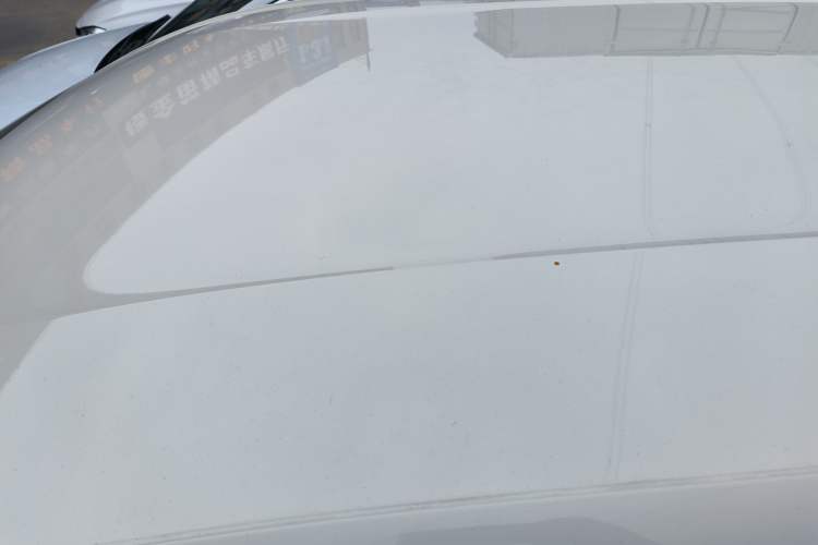 Used BYD Seagull 2023 Flying Edition Roof