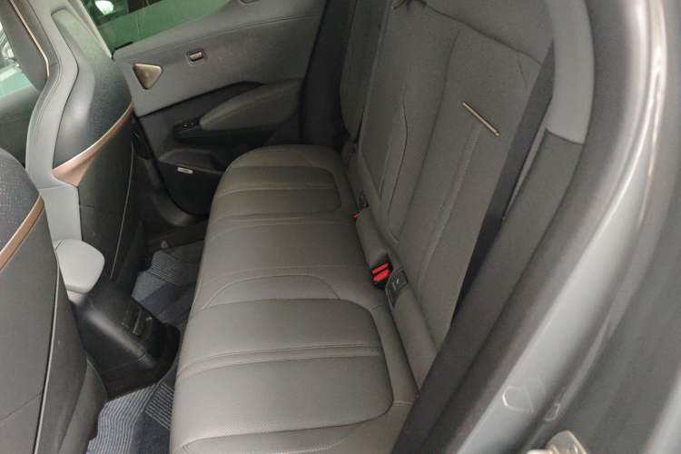 Used Zeekr X 2024 Five-Seater Four-Wheel Drive Left Rear Seat