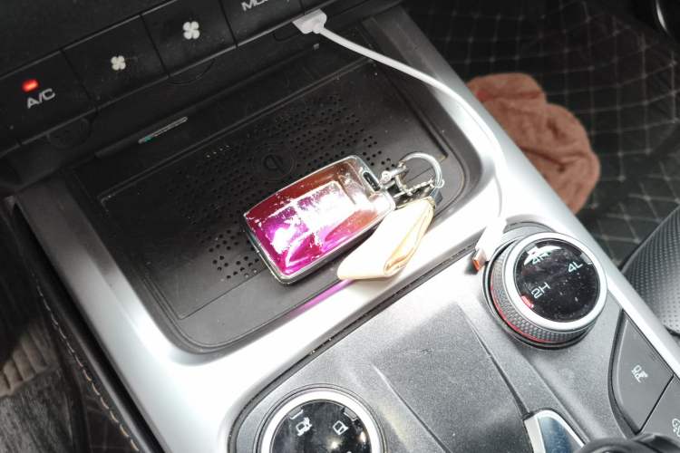 Used Tank 300 2024 2.0T Conqueror
