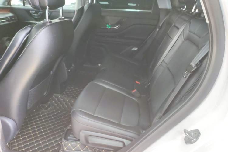 Used Lincoln Corsair 2020 2.0T Two-Wheel Drive Luxury Edition Left Rear Seat