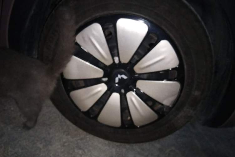 Used Wuling Bingo 2023 203km Light Edition