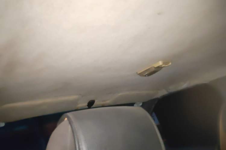 Used Foton Sapporo 2011 2.8T Acadia T3
