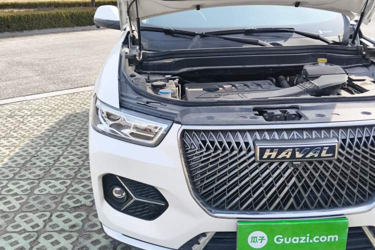 Used Haval H6 2021 1.5T Automatic Champion Edition
