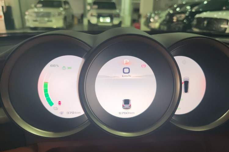 Used ORA Lightning Cat 2022 555 km Luxury Edition
