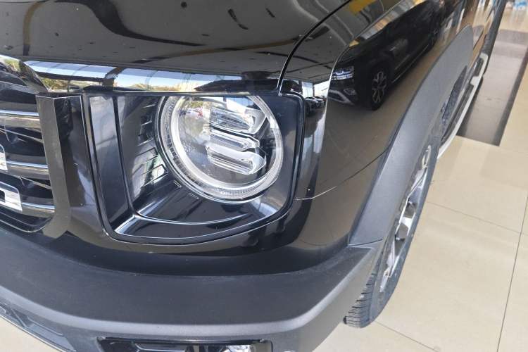 Used Haval DARGO 2022 2.0T DCT 4x4 Chinese Rural Dog Edition