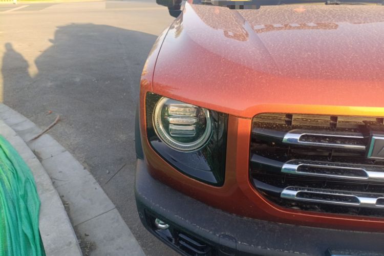 Used Haval DARGO 2021 2.0T DCT 4x4 Chinese Rural Dog Edition