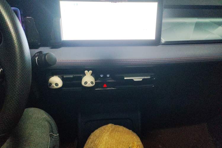 Used Geometry E Firefly 2022 401 km Linglong Tiger 4 Seats Audio And AC Panel