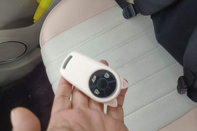 Used ORA Ballet Cat 2022 401 km Nutcracker Edition
