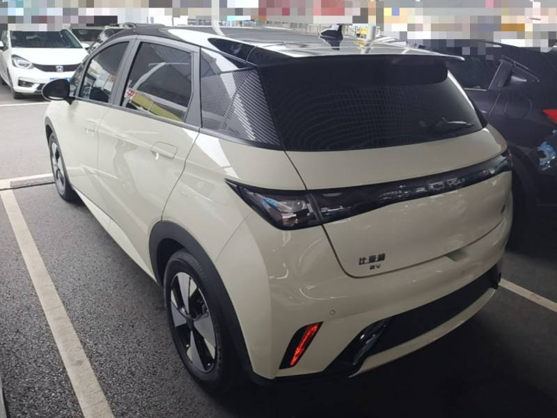Used BYD Dolphin 2023 420 km Fashion Edition — 4