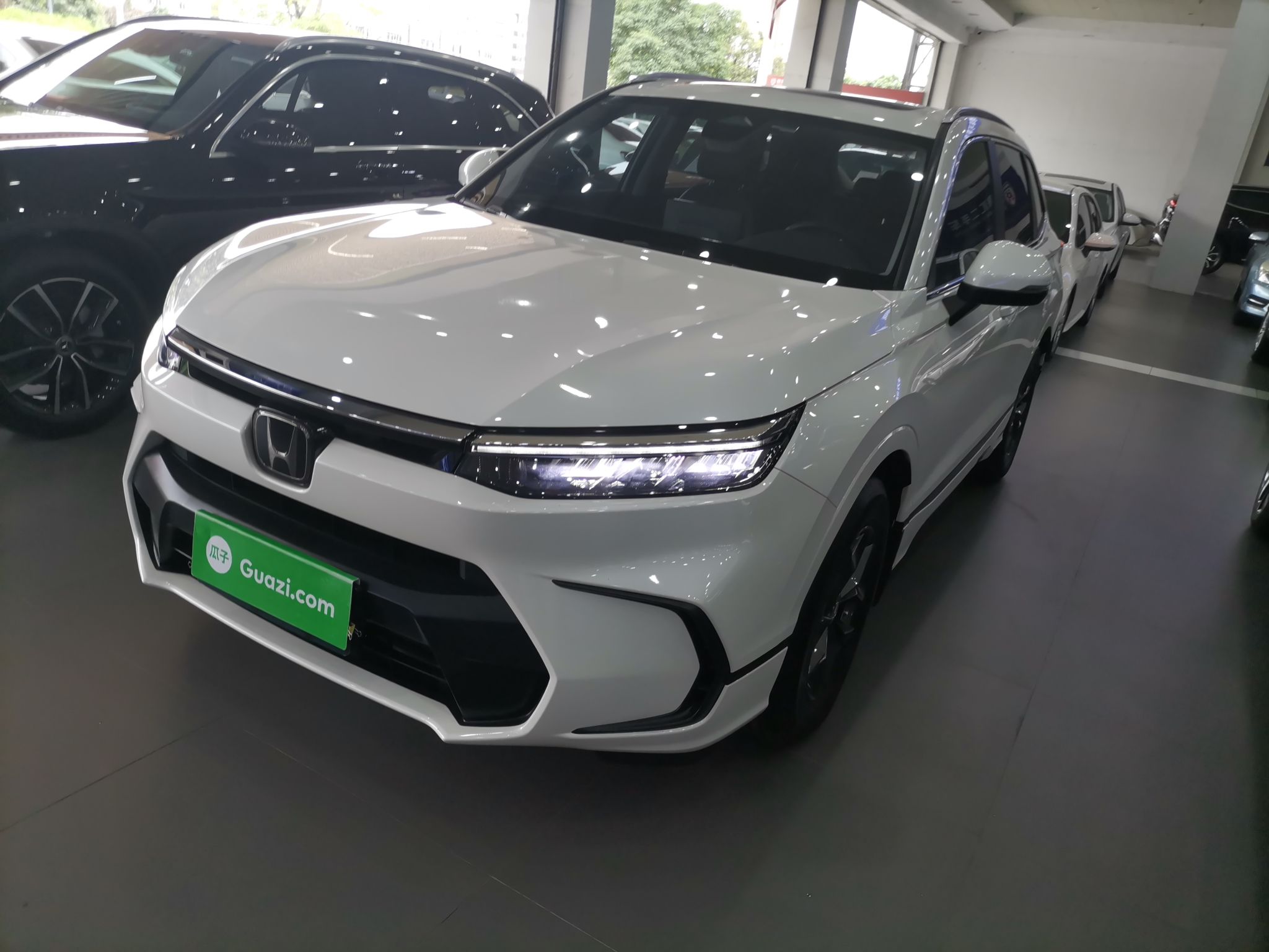 Parte inferior delantera