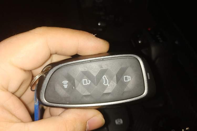 Used Haval H Dog New Energy 2024 Hi4 102km Trend Electric Version Plus