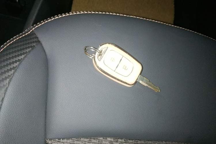 Used Dongfeng NAMMI BOX 2022 Revised Light Wind Edition 201 km Standard Version