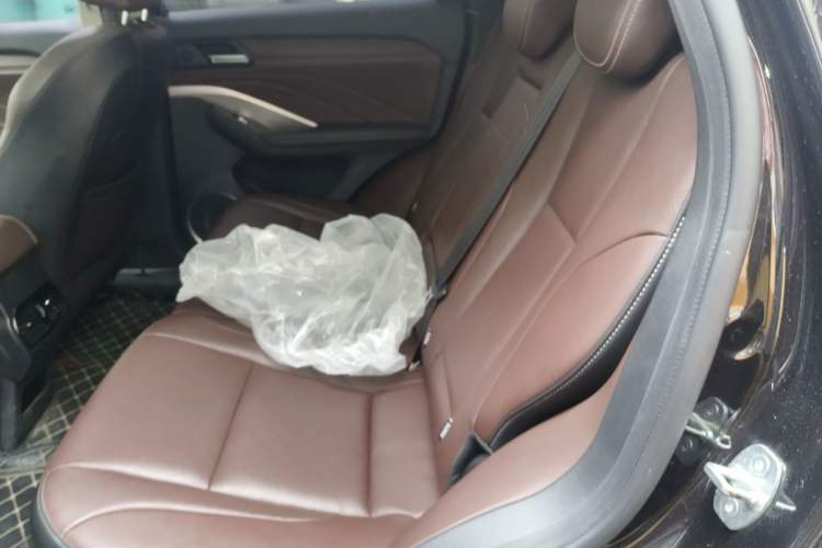 Used Wey VV6 2020 2.0T Two-Wheel Drive Smart Protection+ Left Rear Seat