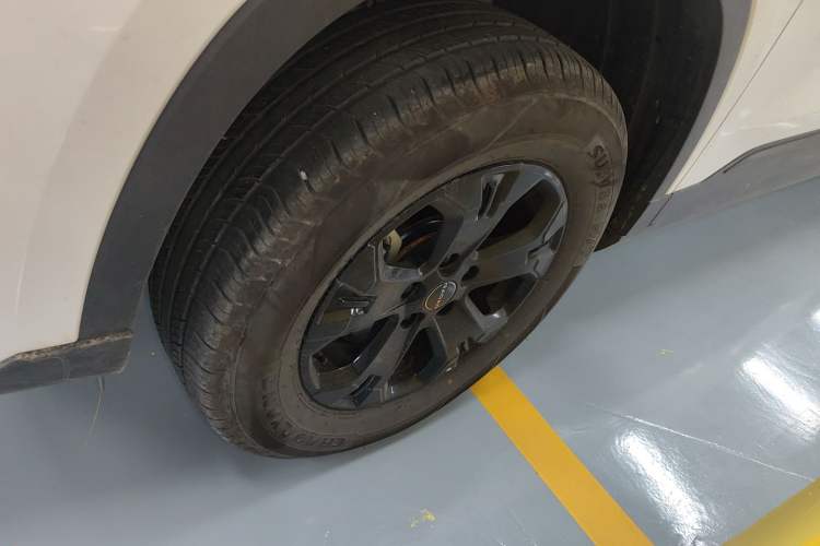 Used Radar King Kong 2025 460 km All-Wheel Drive Long-Box Version – Mighty King Kong Exterior 4