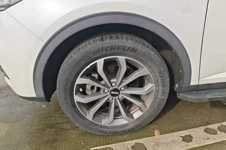 Used Wey VV6 2020 2.0T Two-Wheel Drive Smart Protection+
