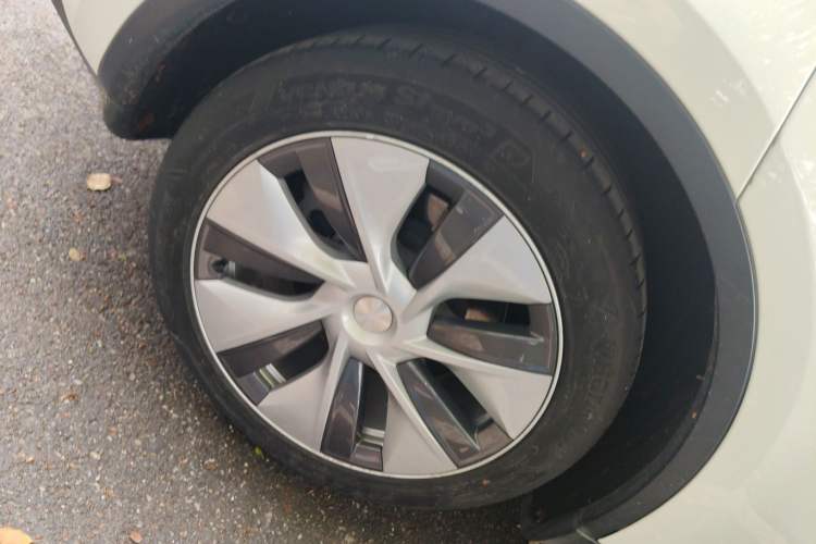 Used Tesla Model Y 2021 Standard Range Rear-Wheel Drive Version Exterior 5