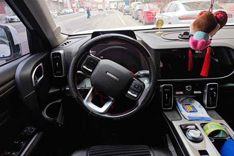 Used Haval DARGO 2021 1.5T DCT Two-Wheel Drive Labrador Edition
