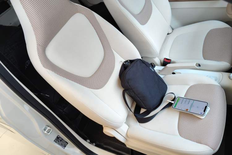 Used Wuling Hongguang MINIEV 2024 3rd Generation 215km Youth Edition Right Front Seat