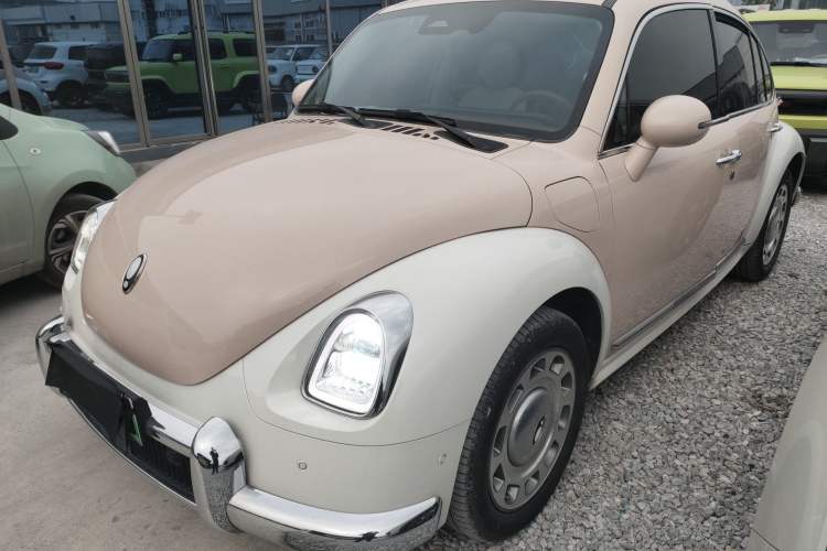 Used ORA Ballet Cat 2023 401 km Luxury Version