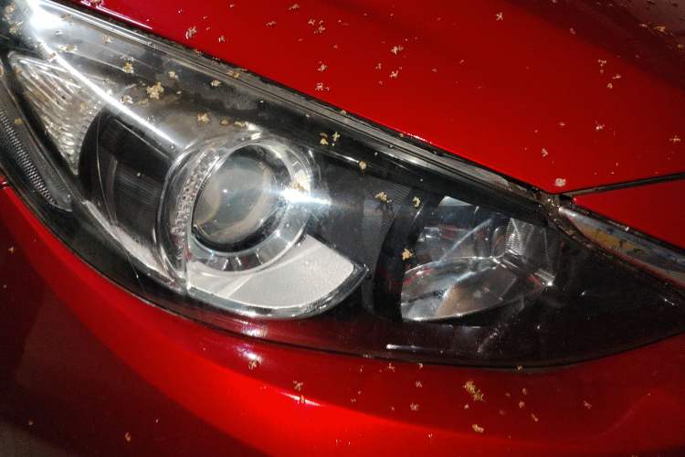 Used Mazda 3 Axela 2016 Sedan 1.5L Automatic Comfort Model