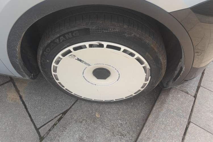 Used Tesla Model Y 2021 Standard Range Rear-Wheel Drive Version