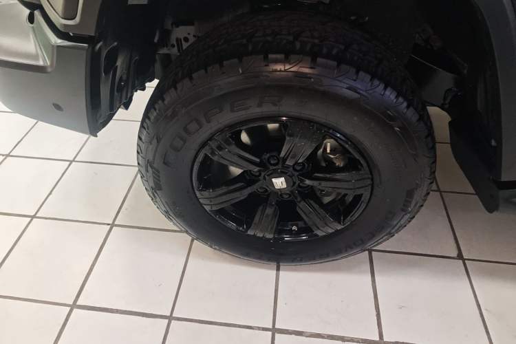 Used Tank 300 2025 2.4T Diesel Version