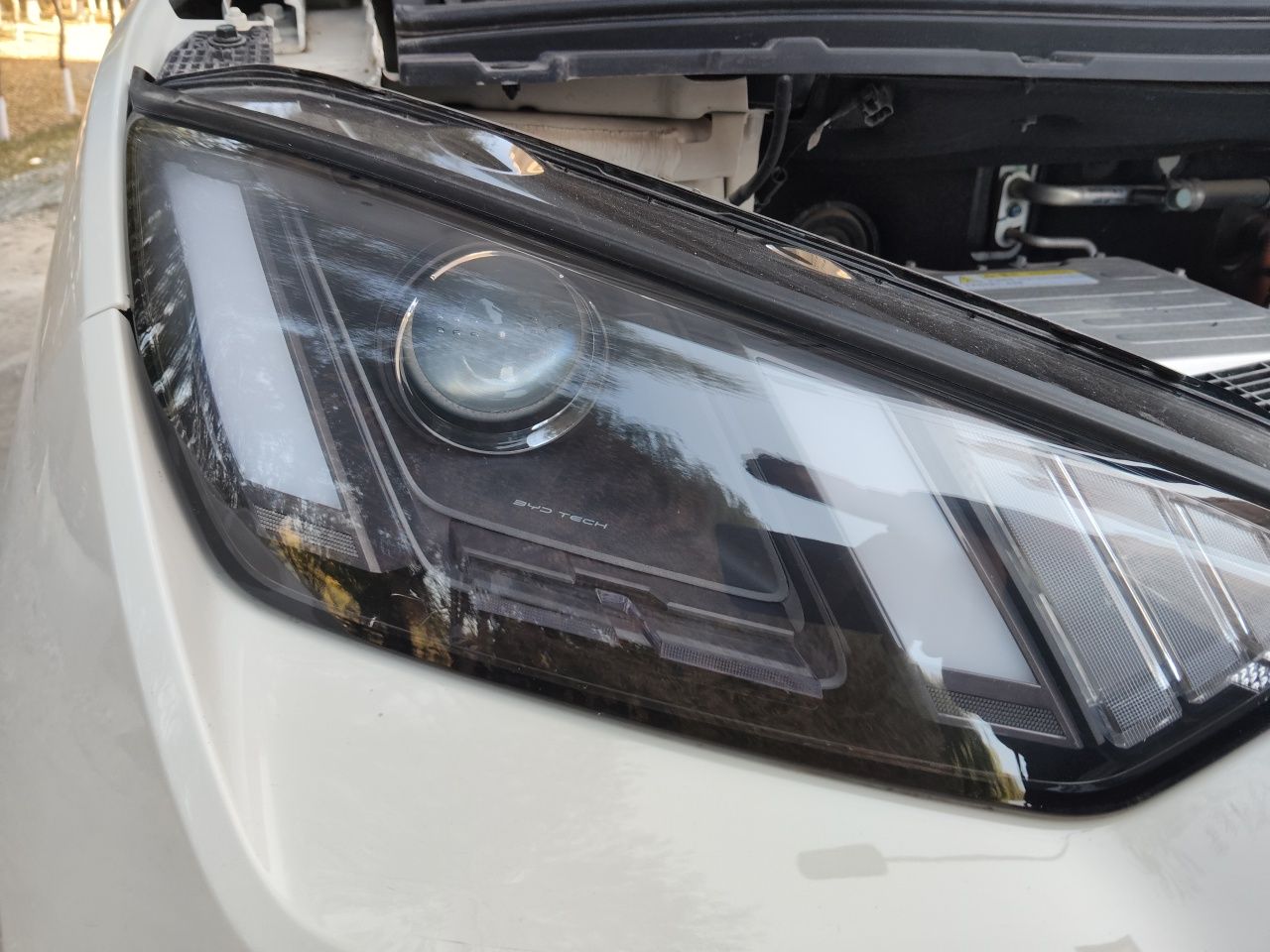BYD Seagull 2024 Honor Edition 305km Dynamic Version — снимка 7
