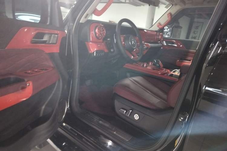 Used Tank 300 2024 2.0T Conqueror