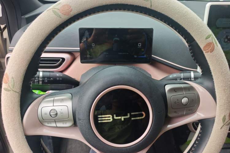 Used BYD Seagull 2023 Flying Edition
