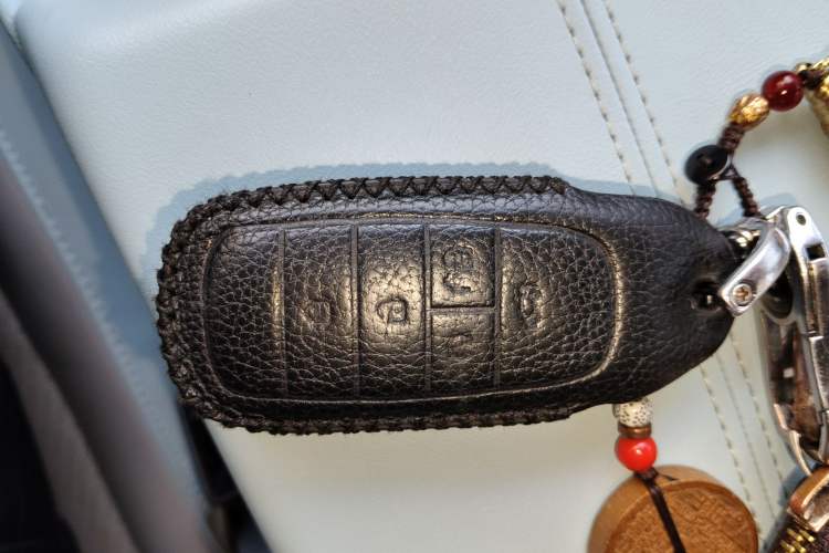 Used AION Y 2022 70 Enjoyment Edition Lithium Iron Phosphate