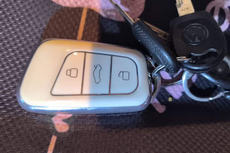 Used Chery QQ Little Ant 2021 150 000 Yuan Ant Fan Edition Ant Cool Version Lithium Iron Phosphate
