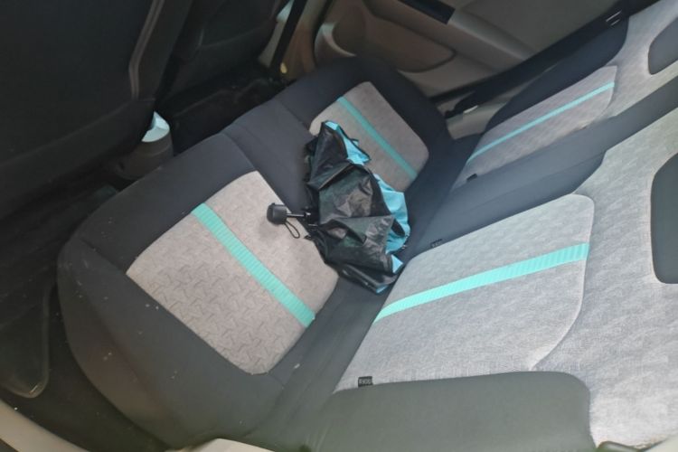 Used JMEV Xiao Qilin 2023 Joyful Edition 201km Comfort Model Left Rear Seat