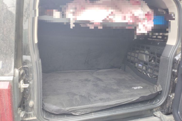 Used Tank 300 2021 City Edition 2.0T—Truly Stylish