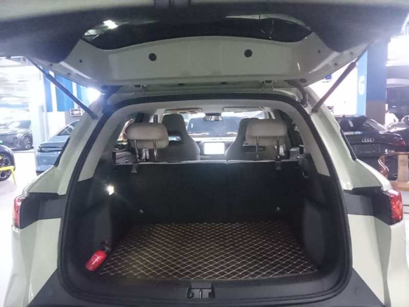 Used BYD Yuan UP 2024 301KM Leading Edition — 18