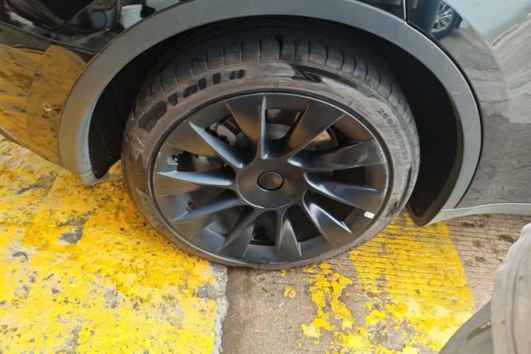 Used Tesla Model Y 2021 Standard Range Rear-Wheel Drive Version
