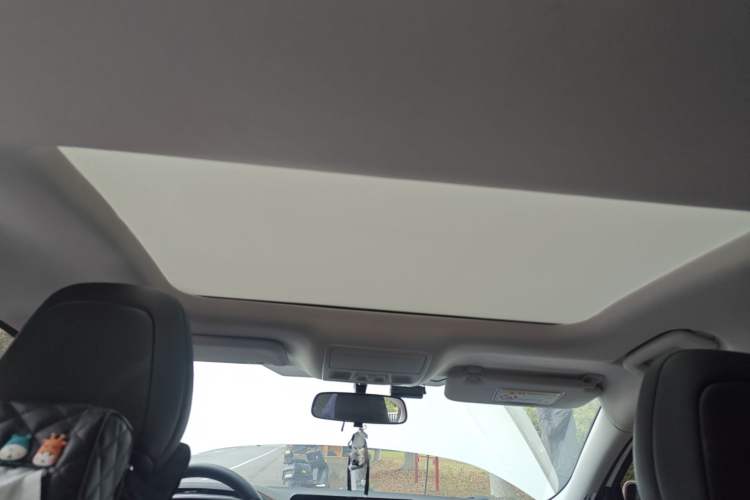 Used Ford Focus 2022 Sedan EcoBoost 180 Automatic Performance Edition Headliner