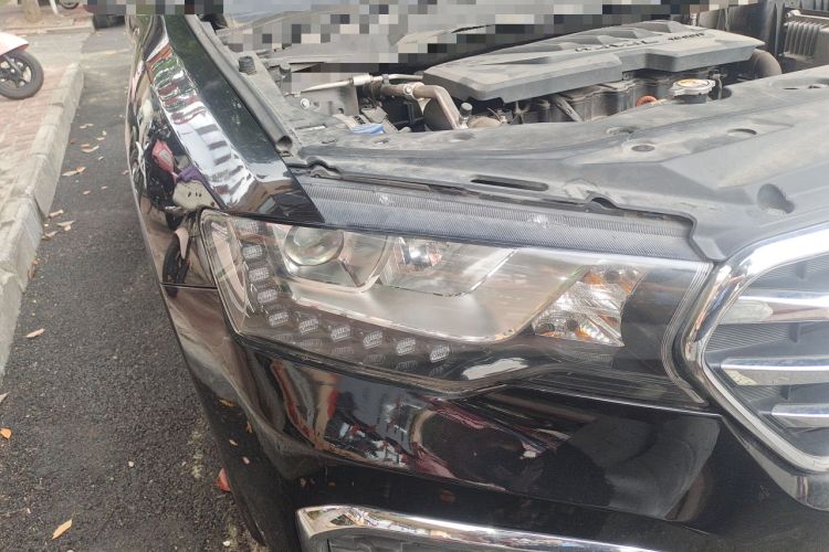 Used Haval H6 Coupe 2018 Blue Label 1.5T Automatic Two-Wheel Drive Luxury Model
