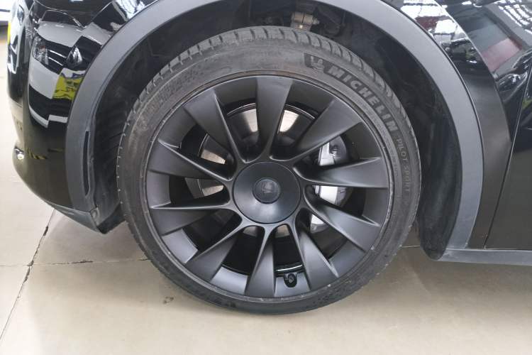 Used Tesla Model Y 2021 Standard Range Rear-Wheel Drive Version
