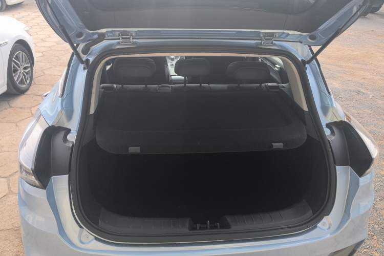 Used Geometry C 2020 Selected Range Edition 550 KM C++