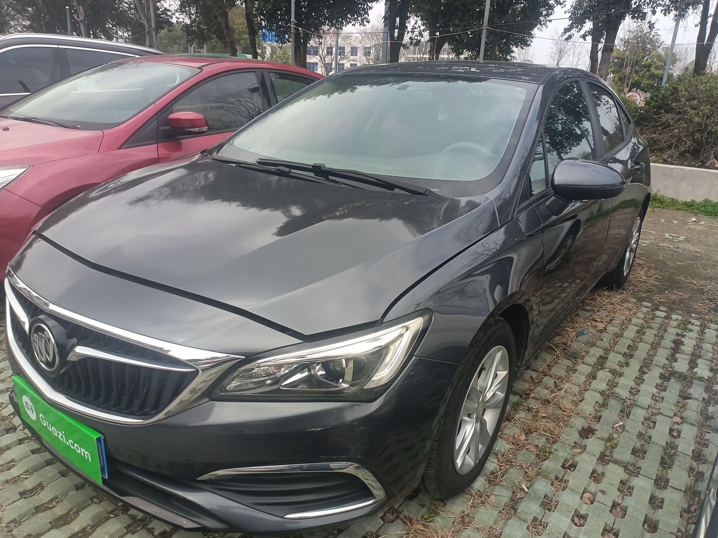 Parte inferior delantera