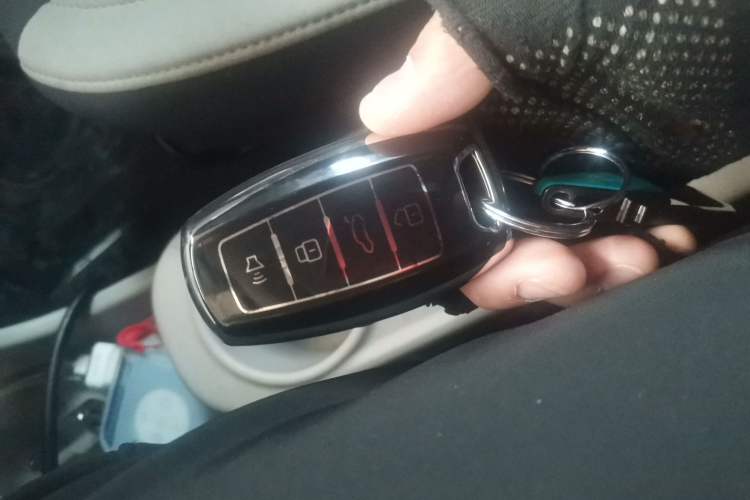 Used ORA White Cat 2020 305 km Luxury Version
