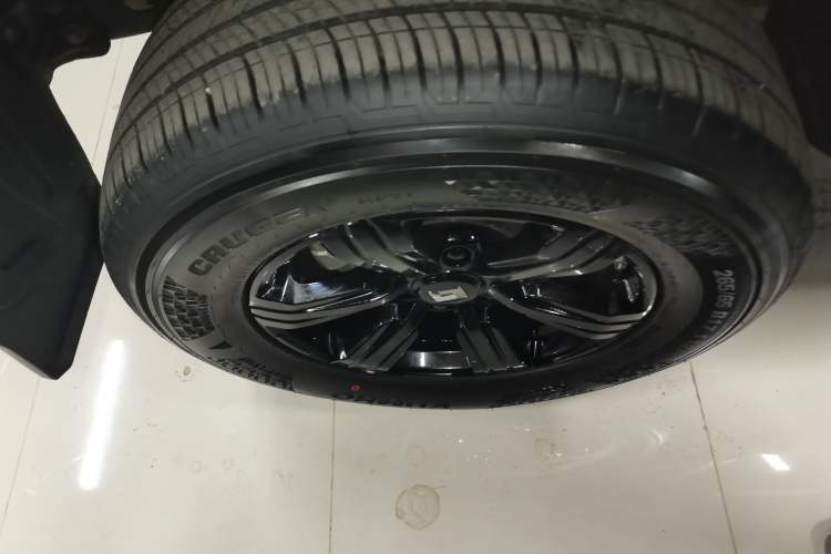 Used Tank 300 2024 2.0T Conqueror
