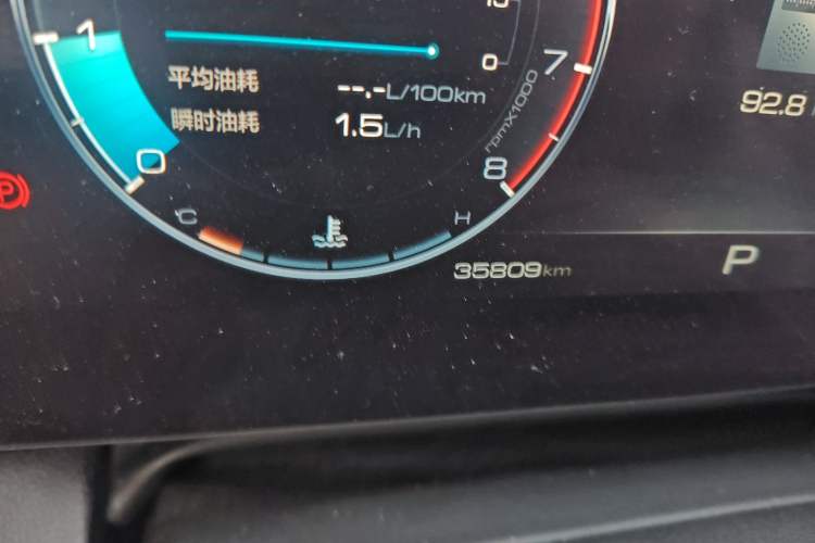 Used Haval DARGO 2024 2.0T DCT Chinese Rural Dog Edition
