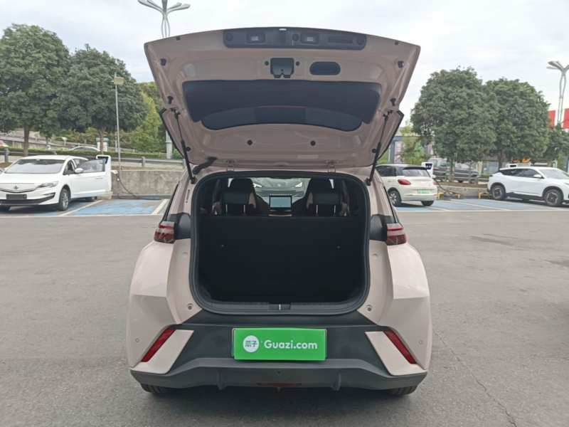Used BYD Seagull 2023 Free Edition — 18