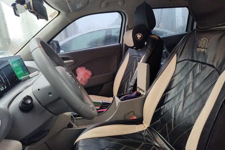 Used ORA White Cat 2020 305 km Luxury Version
