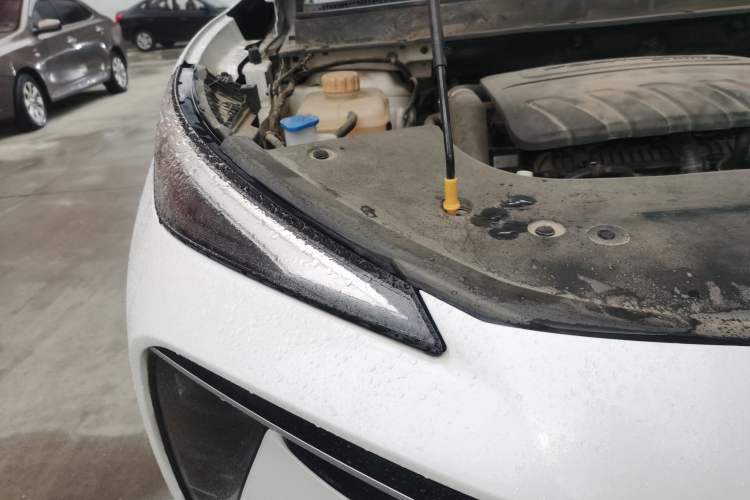 Used FORTHING T5 EVO 2021 1.5TD DCT Platinum Edition
