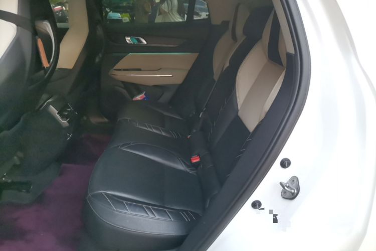 Used Lynk & Co 05 2020 2.0TD Two-Wheel Drive Shine Halo Left Rear Seat