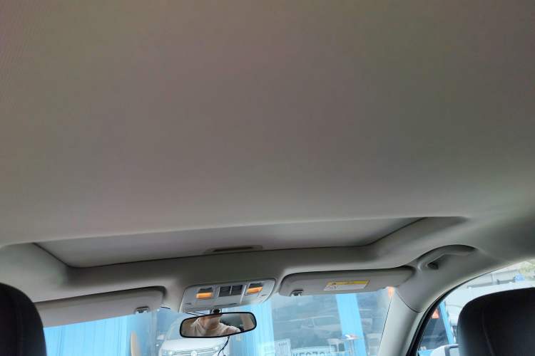 Used Chevrolet Malibu 2018 530T Automatic Luxury Edition Headliner